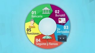 El Sistema Financiero Mexicano [upl. by Annaeiluj762]