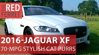 2016 Jaguar XF  Super 70 MPG Economy And Bags Of Style Too This Cat Purrs Review [upl. by Ikcaj]