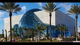 The Dali Museum An Unparalleled Experience [upl. by Delahk]