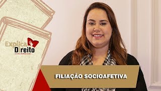 Explica Direito Filiação Socioafetiva  2019 [upl. by Einial]