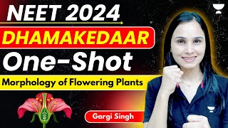 Morphology of Flowering Plants  Part 4  NEET 2024  Dr Gargi [upl. by Stenger]