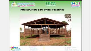 Infraestructura para el manejo zoosanitario de ovinos y caprinos [upl. by Kampmeier]