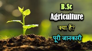 What is BSc Agriculture With Full Information – Hindi – Quick Support [upl. by Tupler]