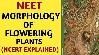 NCERTChapter 5Morphology of Flowering PlantsClass 11Quick Revision SeriesNEETAIIMSBiology [upl. by Danika210]