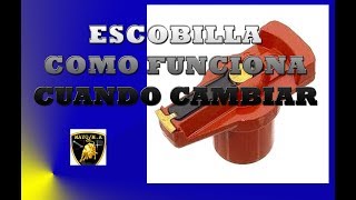 Escobilla  como funciona  cuando cambiar [upl. by Enecnarf]