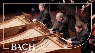 Bach  Concerto for three harpsichords in D minor BWV 1063  Mortensen  Netherlands Bach Society [upl. by Joelynn]