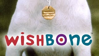 Wishbone Intro 19951997 [upl. by Eidnam851]