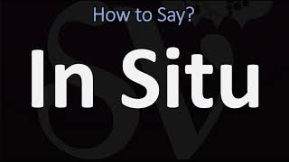 How to Pronounce In Situ CORRECTLY [upl. by Alyse]