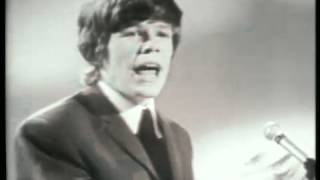 Hermans Hermits  Cant You Hear My Heartbeat [upl. by Refinaj]