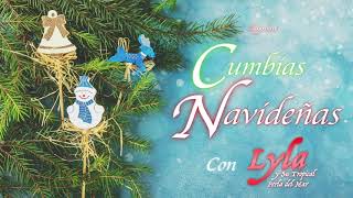 ¡CUMBIAS NAVIDEÑAS EXITOS GRANDES MIX DICIEMBRE 2020 [upl. by Eelyam]