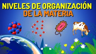 Niveles de organización de la materia [upl. by Aidnyl789]