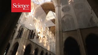 A look inside the restoration of Notre Dame cathedral [upl. by Anilehcim]