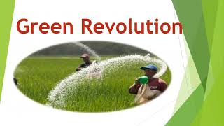 Green Revolution in Indian economy in Hindi  explained  Norman Borlaug and the green revolution [upl. by Artimid506]