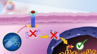 Mechanism of Action of JAK Inhibitors [upl. by Lubet42]