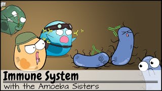 Immune System [upl. by Amedeo]