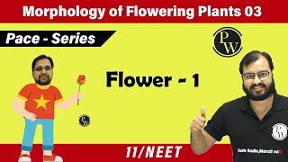 Morphology of flowering plants 03  Flower  1  Class 11  NEET  Pace Series [upl. by Kimmi]