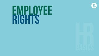 HR Basics Employee Rights [upl. by Adnihc]