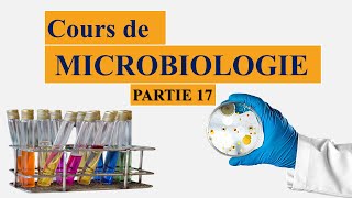 Cours de microbiologie partie 17 métabolisme bactérien [upl. by Nadnerb]