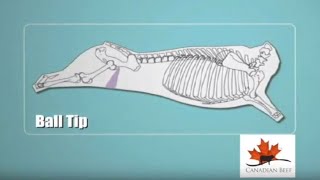 Know your Beef cuts Ball Tip [upl. by Neerahs605]