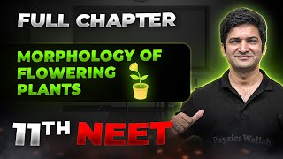 Morphology of Flowering Plants FULL CHAPTER  Class 11th Botany  Arjuna NEET [upl. by Cart]