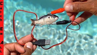 ELECTRIC FISHING LURE uses CHARGED ELECTRICITY to CATCH FISH [upl. by Ahselrak]