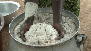 Making better shea butter Summary [upl. by Uttasta]