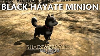 FFXIV Black Hayate Minion [upl. by Anos315]