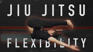 30 Minute Jiu Jitsu BJJ Flexibility Routine FOLLOW ALONG [upl. by Apul]