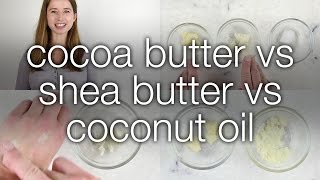 Cocoa Butter vs Shea Butter vs Coconut Oil How are they different [upl. by Eecart]